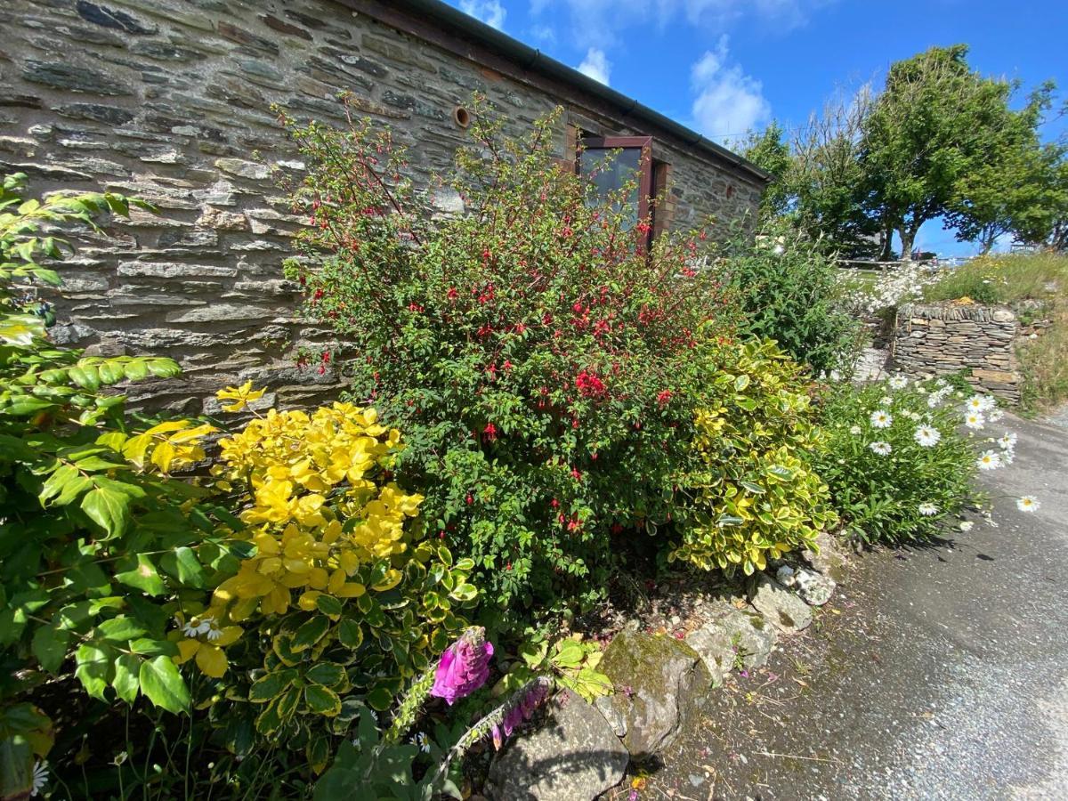 Polrunny Farm Elderberry Cottage With Sea View Боскасъл Екстериор снимка