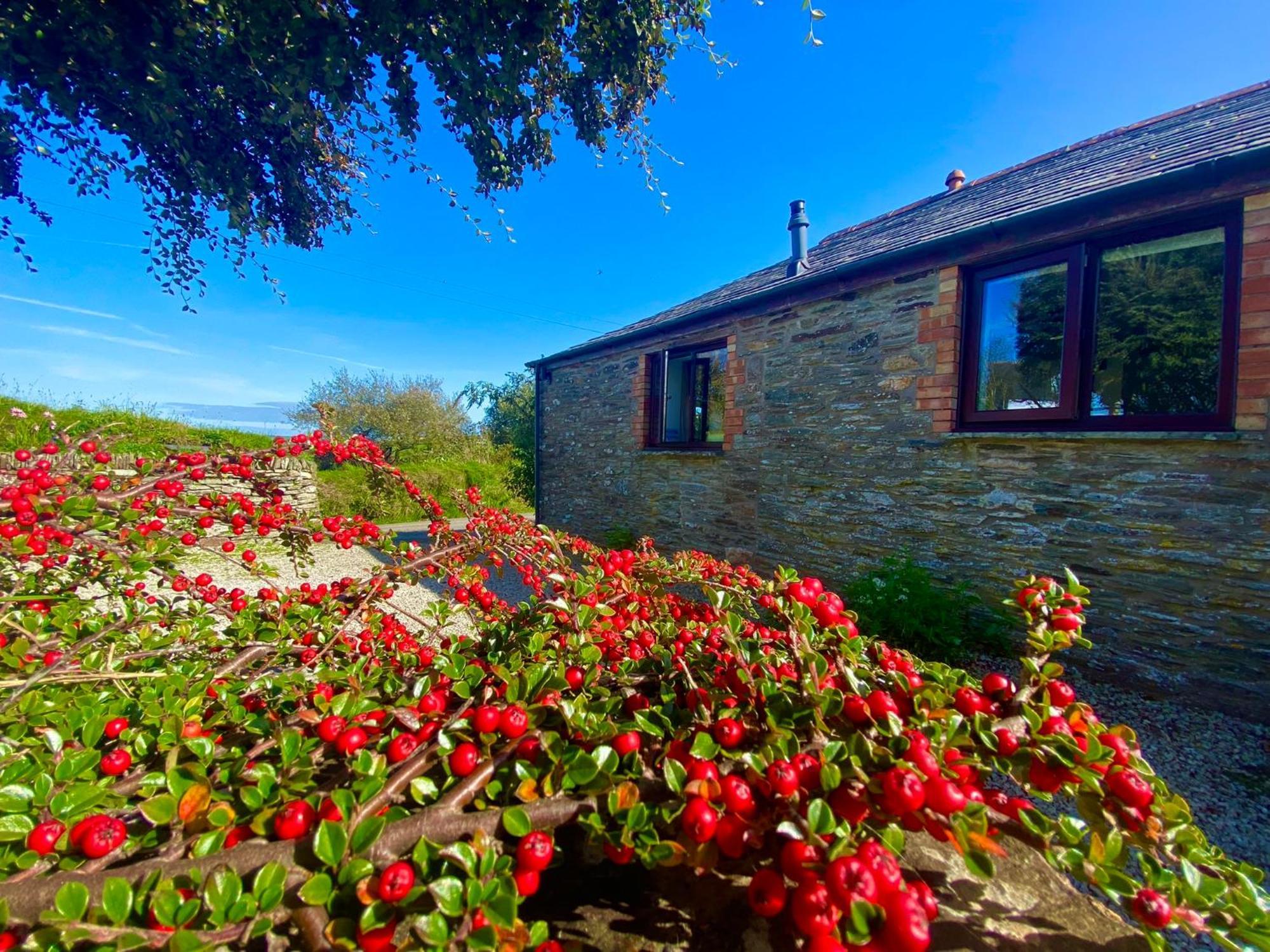 Polrunny Farm Elderberry Cottage With Sea View Боскасъл Екстериор снимка